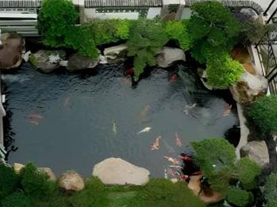 水池鱼塘