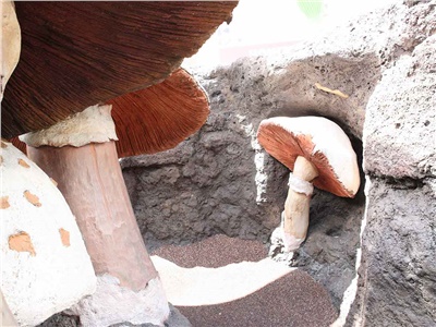 仿砖仿古其他篇